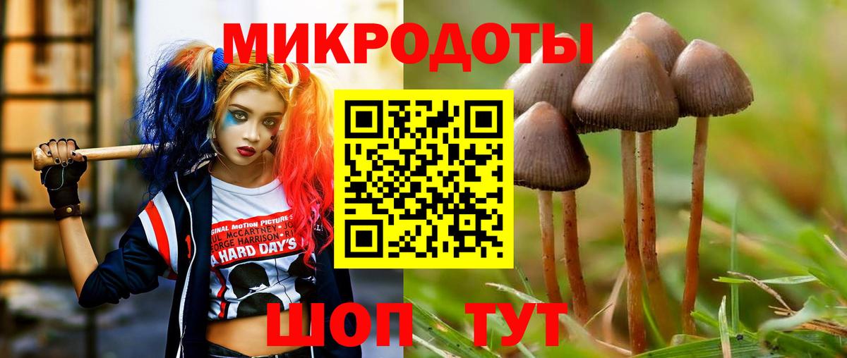 Псилоцибиновые грибы Cubensis Костомукша
